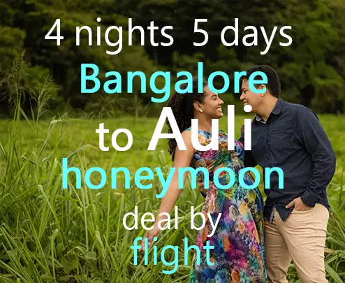 4 nights 5 days bangalore to auli honeymoon deal by flight