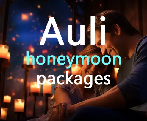 Auli honeymoon packages
