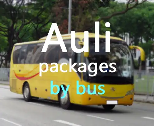 Auli packages by bus