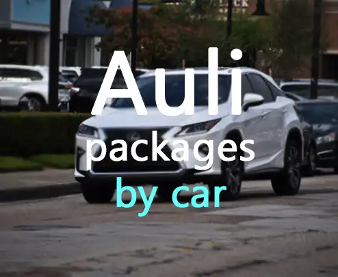 Auli packages by car