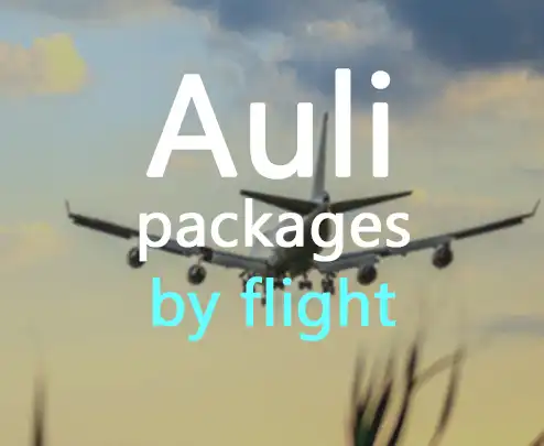 Auli packages by flight