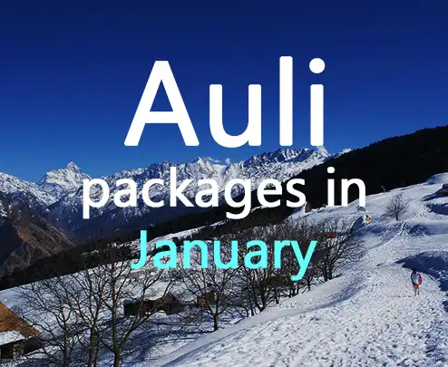 Auli packages in january