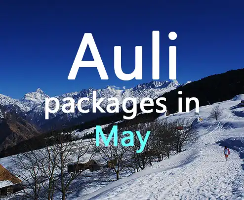 Auli packages in may