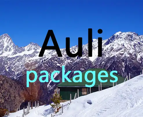 Auli packages