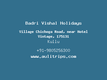 Badri Vishal Holidays, Kullu