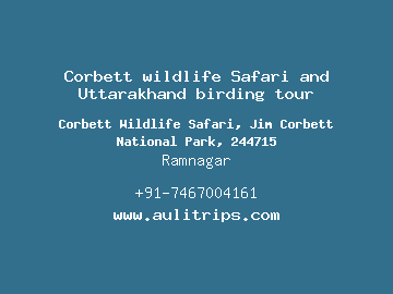 Corbett wildlife Safari and Uttarakhand birding tour, Ramnagar