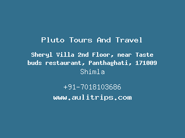 Pluto Tours And Travel, Shimla