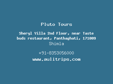 Pluto Tours, Shimla