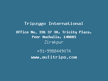 Tripzygo International, Zirakpur